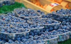 blueberries-849251_640